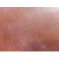 Fur - Peach color