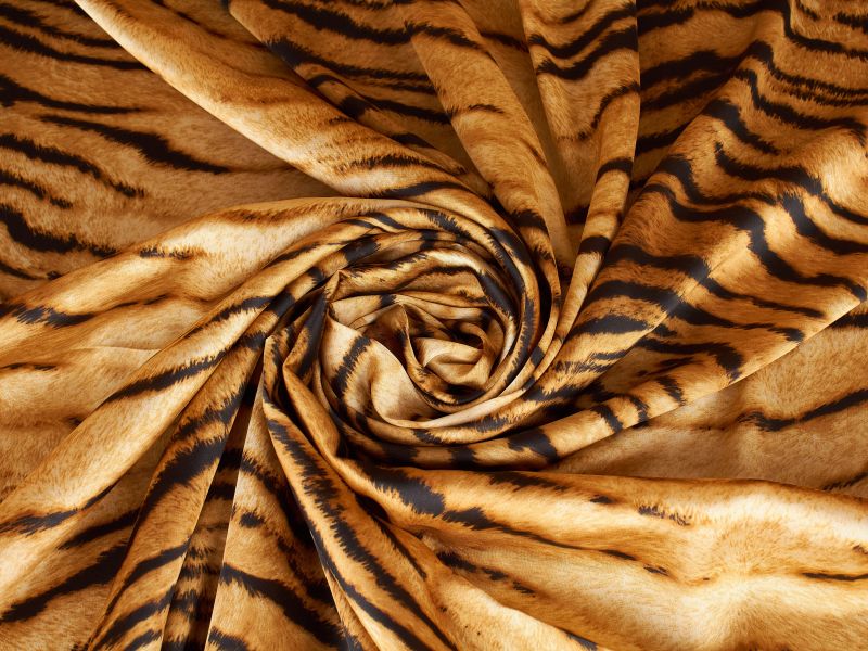 Poli Sorella tiger print