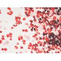 Polisorella - czerwone kwiatuszki