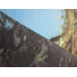 Obraz - Claude Monet - Zahrada v květinách
