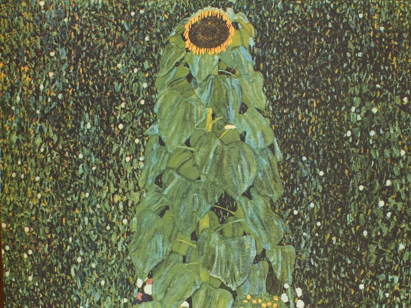 Gustav Klimt- Słonecznik
