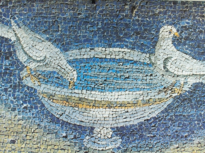 Obraz - Colombe che bevono ad una tazza