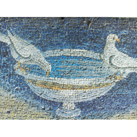 Obraz - Colombe che bevono ad una tazza