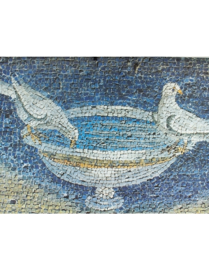 Obraz - Colombe che bevono ad una tazza