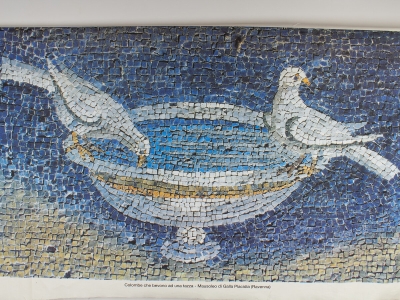 Image - Des colombes buvant dans une tasse