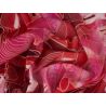 Jedwab sygnowany - elastyczny szyfon - koralowe kwiaty