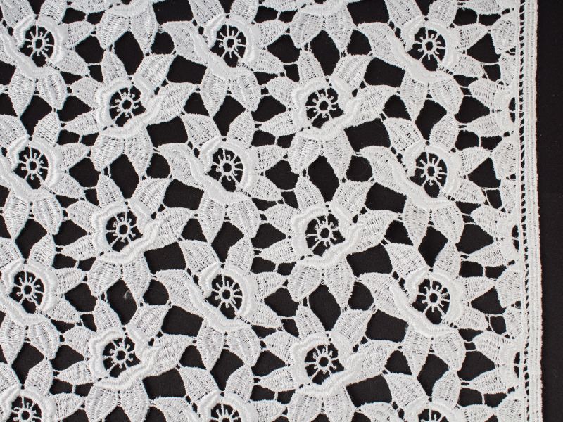 Gipiura fleurs blanches
