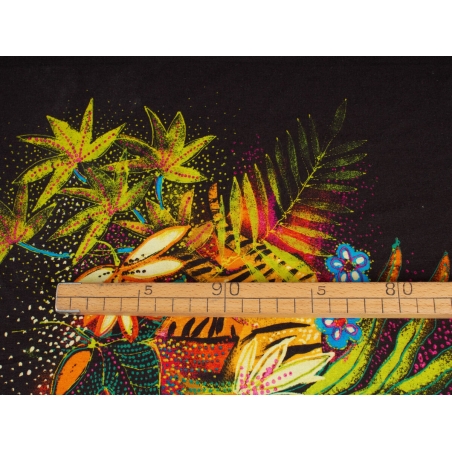 Джинина КАНТ папратки