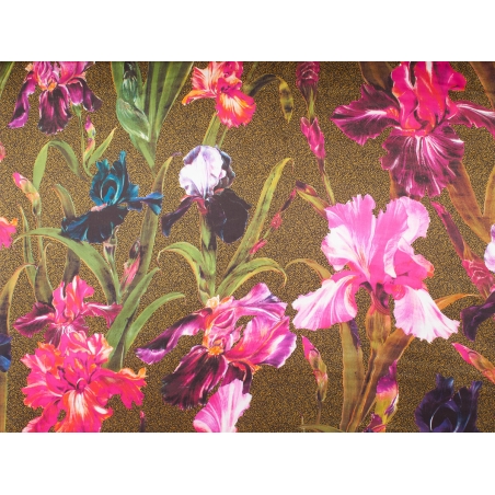 Seda firmada iris de colores