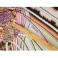 Poli Sorella sifon Cavalli minta jelentés