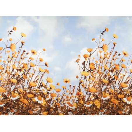 Seiden signiert - Kamille und Himmel - Bericht