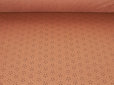 Zamsz KLARA-LAS žvaigždės