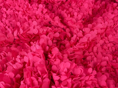 Koronka Gucci - Pałtki róż - 3 kolory