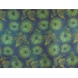 Tecido Jacquard Sorella - Flores Brilhantes