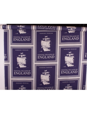 Silk Fabric Signed with Cotton - Colors