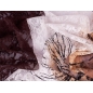 Dentelle Tangello - Orange et marron