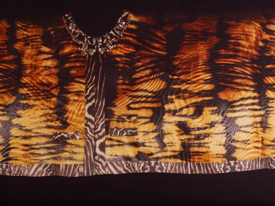 Джиния Папая - Зебра в кафяво - Доклад