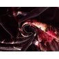 Velours Sorella - Roses rouges sur noir
