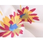 Coton Boario - Fleurs de printemps - couleurs