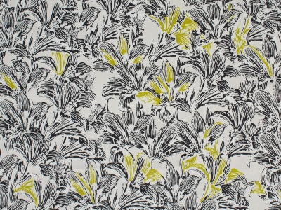 Lampone - bavlna s elastanem