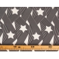 Tecido Viscose Raso Foxy - Estrelas
