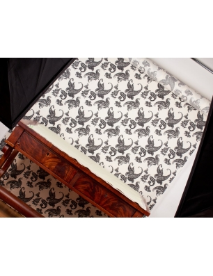 Raso Foxy Viskose - Paisley