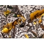 Silke stof med signatur - Gule roser på guipure - i Dolce&Gabbana stil