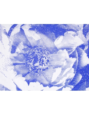 Coton Danielle - Poppy blue