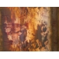 Satyna Voiron - Safari de otoño - informe