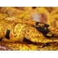 Tessuto Jacquard Sorella - Oro e motivo leopardato - in stile Versace