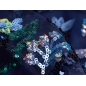 HOLO lace - embroidered with sequins on tulle