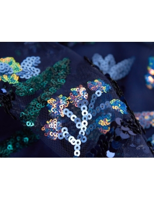 HOLO lace - embroidered with sequins on tulle