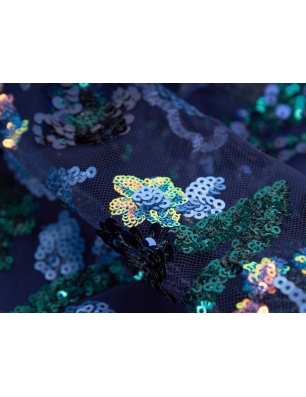 HOLO lace - embroidered with sequins on tulle