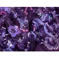 HOLO lace - embroidered with sequins on tulle