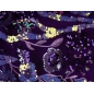 HOLO lace - embroidered with sequins on tulle