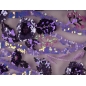 HOLO lace - embroidered with sequins on tulle