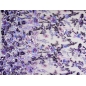 HOLO lace - embroidered with sequins on tulle