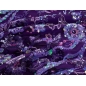 HOLO lace - embroidered with sequins on tulle