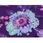 HOLO lace - embroidered with sequins on tulle