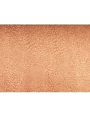Tissu Viscose Raso Foxy - Biscotto léopard