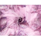 Renda bordada em tule - Grande Fiore - cores