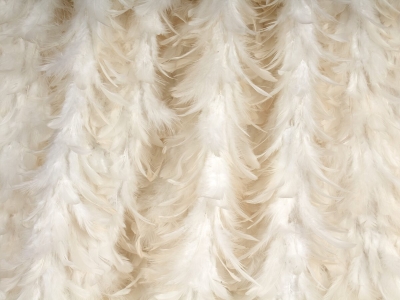 Stoff mit Federn - Piuma - Farben