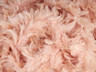 Tecido com penas - Piuma - cores