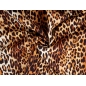 Signed wool - Leopard print - in the style of Dolce&Gabbana
