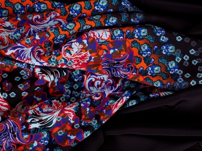 copy of Silkki, jonka on allekirjoittanut malli