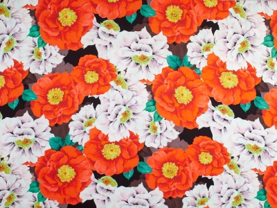 copy of Silkki, jonka on allekirjoittanut malli