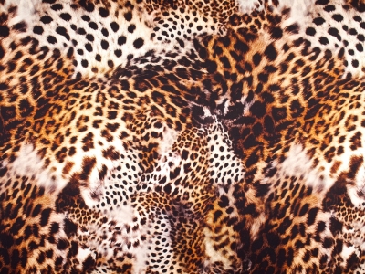 copy of Zīda ar parakstu veidne