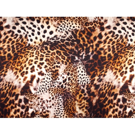 copy of Seda assinado padrão