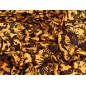 Satiin kleidi jaoks - Sunshine - Diori stiilis