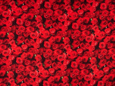 copy of Zijde met een gesigneerd sjabloon